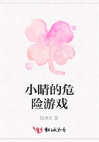 小晴的危险游戏