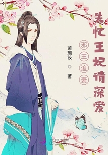 邪王追妻:失憶王妃請深愛