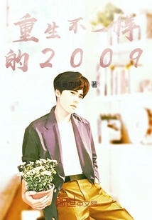 重生不一樣的2009