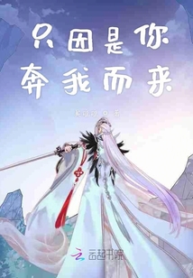 只因是你奔我而来