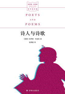詩人與詩歌(哈羅德·布魯姆文學批評集)