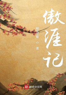 傲涯記