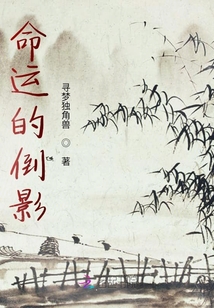 命運的倒影
