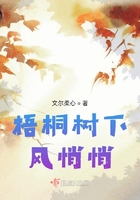梧桐树下风悄悄