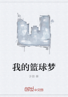 我的篮球梦在线阅读