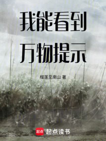 我能看到萬物提示