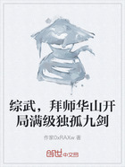 综武，拜师华山开局满级独孤九剑在线阅读