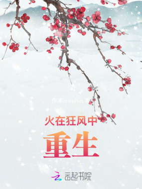 火在狂风中重生在线阅读