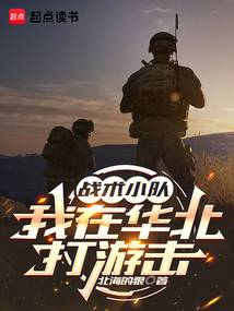 戰術小隊:我在華北打游擊
