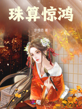 珠算惊鸿在线阅读