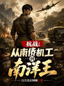 War of Resistance: From Overseas Chinese Aviation Workers to King of Nanyang cover
