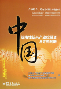 中國戰略性新興產業投融資與并購戰略