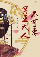 冥王大人不可妻在線閱讀