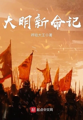 大明新命记在线阅读