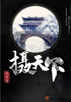摄天下