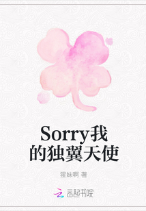 Sorry我的獨(dú)翼天使