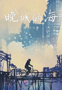 晚城的海