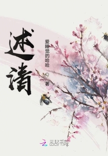 述清