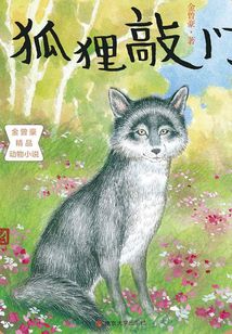 狐貍敲門