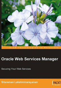 Oracle Web Services Manager
