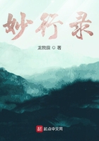 妙行录在线阅读