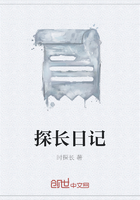 探长日记在线阅读
