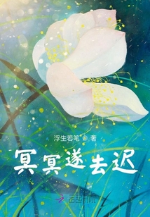 冥冥遂去遲