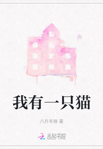 我有一只貓