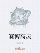 赛博高灵在线阅读