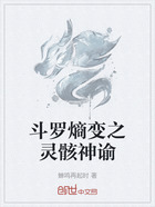 斗罗熵变之灵骸神谕在线阅读