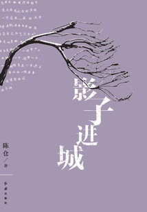 影子進城