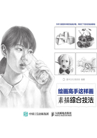 绘画高手这样画：素描综合技法在线阅读