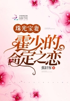 珠光寶妻霍少的命定之戀在線閱讀