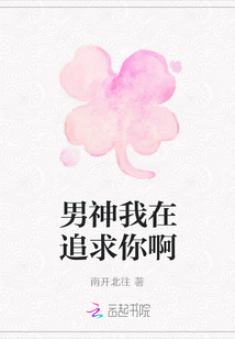 男神我在追求你啊