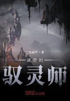 迷茫的馭靈師在線閱讀