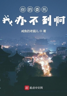你的委托我办不到啊 cover