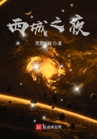 西城之夜在線閱讀