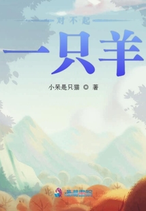 對不起一只羊