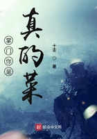 掌門你是真的菜在線閱讀