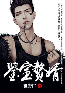 鑒寶贅婿