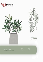 還是那個晚霞在線閱讀