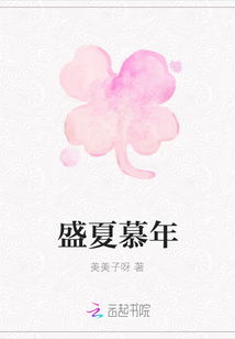 盛夏慕年
