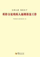 弘扬人道，集善天下：邓朴方论残疾人福利基金工作在线阅读