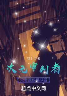 次元審判者，只有武俠模擬器