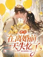 老公在離婚前一天失憶了在線閱讀