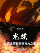 龙族：从炼金师到青铜与火之王