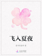 飞入夏夜在线阅读