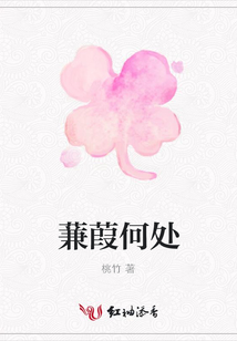 蒹葭何處