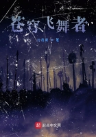 苍穹飞舞者