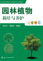 园林植物栽培与养护